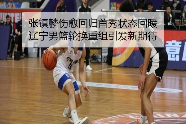 张镇麟伤愈回归首秀状态回暖 辽宁男篮轮换重组引发新期待