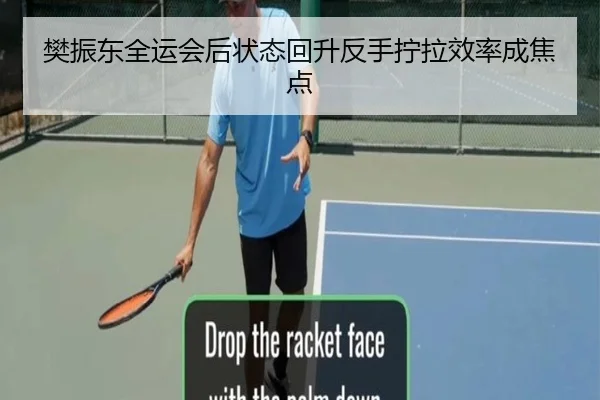 樊振东全运会后状态回升反手拧拉效率成焦点